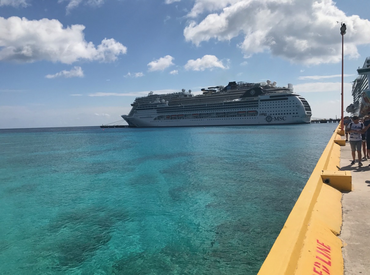 cruise ship shore excursion reviews