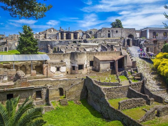 Pompeii, Herculaneum and Vesuvius